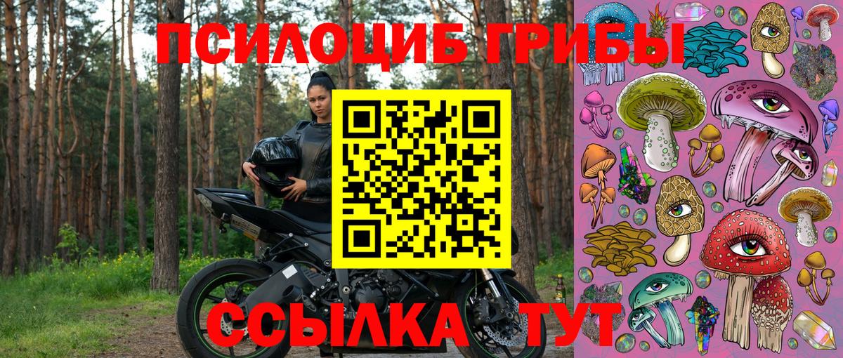 Псилоцибиновые грибы MAGIC MUSHROOMS  Вход с VPN  Сухой Лог 
